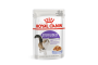 Bouchées en Gelée Pour Chats Sterilised 12X85g - ROYAL CANIN