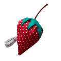 Jouet pour Chats - Chatouillis Jouets