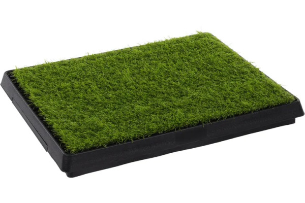 Toilette Chien Chat Pelouse Pelou FLAMINGO