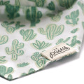 Bandana Yucca Cactus - THE PAWS