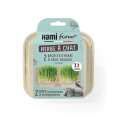 copy of copy of Herbe à Chat 20g - DISTRIDOG