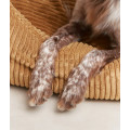 Lit Snozy Pour Chien - CAFIDE