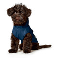 Imperméable Milford Pour Chien - HUNTER