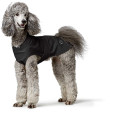 Imperméable pour chiens Milford - HUNTER