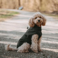 Imperméable pour chiens Milford - HUNTER