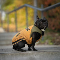 Bomber School Ocre Chien -