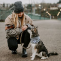Echarpe pour chien Nancy gris - HUNTER