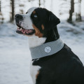 Echarpe pour chien Nancy gris - HUNTER