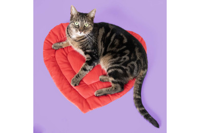 Plaid Pour Chats « Be Mine » - COOCKOO