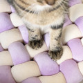 Coussin Velvet Vibe Pour Chat COOCKOO