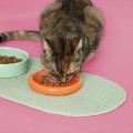 Gamelle Funky Feeding Pour Chat COOCKOO