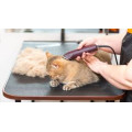 Tonte Chat + Griffes