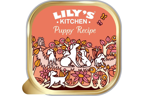 Lily’s Kitchen pâté 150g
