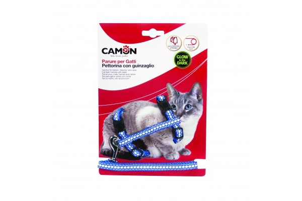 copy of Pack Harnais et Laisse en Nylon pour Chatons - DISTRIDOG