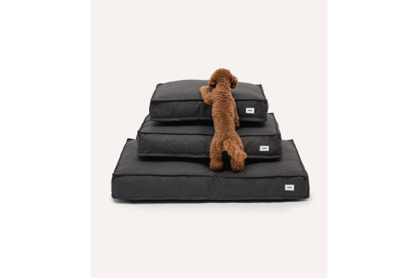 Lit Cuadra Pour Chien - CAFIDE