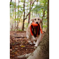 Jouet Halloween Araignée Pour Chien – Flamingo