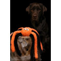 Jouet Halloween Callie Araignée Orange – Flamingo