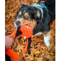 Jouet Halloween Araignée Pour Chien – Flamingo