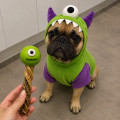 Sucette Monstre D’Halloween Pour Chien – COOKA’S COOKIES
