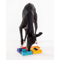 Jouet Puzzle Intéractif Genius Set Pour Chien - PAWZLER