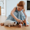 Jouet Pour Chat Mystery Bakery – HUNTER