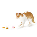 Jouet Pour Chat Mystery Bakery – HUNTER