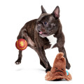 Jouet Peluche - « Sorting Hat » - BARK