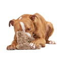 Jouet Peluche - « Book Of Monsters » - BARK