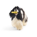 Jouet Vif D’Or Harry Potter Pour Chien - BARK