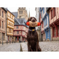 Jouet pour chien breton galette saucisse - bandit