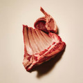 Pâtée Sans Céréales Chien 400 g - CARNILOVE