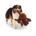 Jouet Pour Chien Harry Potter « Aragog »  - BARK