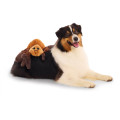 Jouet Pour Chien Harry Potter « Aragog »  - BARK