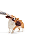 Jouet Harry Potter Pour Chien « Nimbus 2000 » - BARK