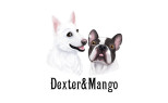 DEXTER & MANGO